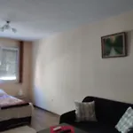 Apartment Zora Burgas